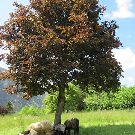 Nagl شقة ناسيريث