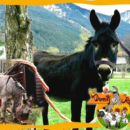 Nagl شقة ناسيريث